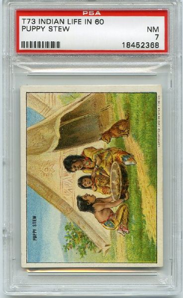 T73 Indian Life in the 60s "Puppy Stew" PSA 7 