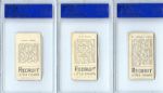 T207 Lot of Five Inc. Bresnahan All PSA Graded