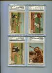 1959 Fleer Ted Willams Lot of Twenty-Six Different All Blank Back