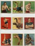 T218 Mecca/Hassan Set of 62 Boxers