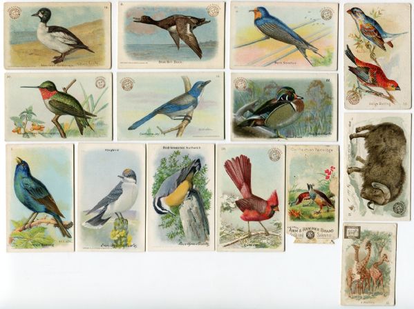 J-Series Lot of 15 Different Mostly Arm & Hammer Cards