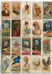 N Card Type Lot All Allen & Ginter N-1 thru N-38 Mostly Different
