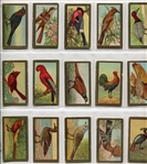 T42 Bird Series Type 1 & 2 Complete Set of 100