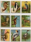 T29 Hassan Animals Complete Set of 80 