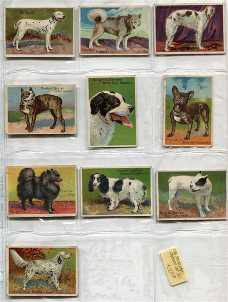 T96 Khedival Co. Prize Dog Series Complete Set of 10