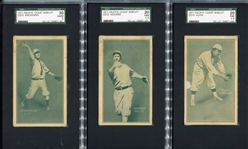 D310 Pacific Coast Biscuit Lot of 7 Different SGC Graded