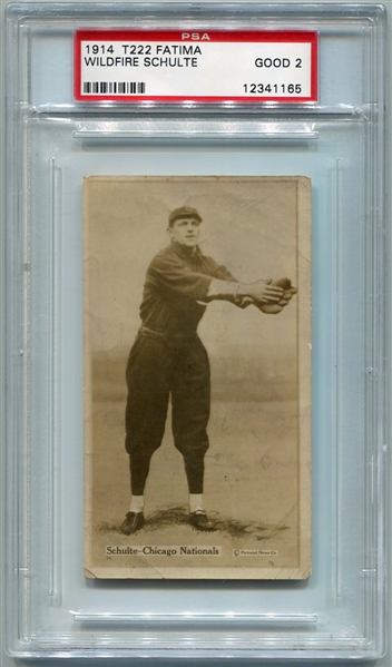 T222 Wildfire Schulte Chicago Nationals SP PSA 2