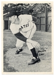 1950 Pittsburgh Pirates Team Photo Pack 23 of 25