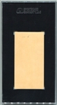 E136 1911 Zeenut Hitt Vernon SGC 20