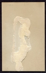 1921 Exhibits Grover C. Alexander 
