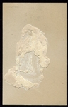 1921 Exhibits Edgar S. Sam Rice