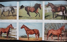 1956 Sports Illustrated 2nd Anniversary Issue w/Race Horse Foldout