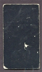 N300 1895 Mayo Cut Plug Wilbert Robinson Baltimore