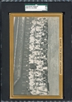 1934 Goudey Premium American League All-Stars SGC 45