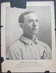 1909 St. Louis Republic Browns Supplements Complete Set