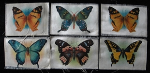 1910 S8 Butterfly Silks Large Size Lot of 6