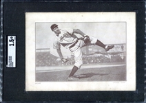 Plow Boy Tobacco Mordecai Brown Chicago Cubs SGC 1.5