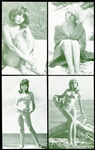 1960's Exhibits Beach Bunnies 25 of 32