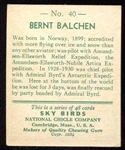1934 Sky Birds #40 Bernt Balchen