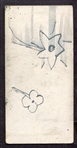1930 Zeenut Wingo San Francisco With Coupon